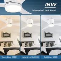 CANEOE LED Mennyezeti Ventilátor Távirányítóval, Csendes DC Motor, 106 cm Dimmelhető Lámpa 5