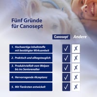Canosept Sensitiv Soluție pentru curățarea urechilor câinilor 75 ml - Pentru urechi sensibile 6