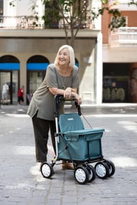Carlett Comfort Assist Rollator i kolica za kupovinu sa sjedištem, tamnosiva, podesiva ručka, parkirna kočnica, kotači s 3 položaja, medicinski proizvod EU-a 5