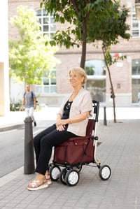 Carlett Comfort Assist Rollator i kolica za kupovinu sa sjedištem, tamnosiva, podesiva ručka, parkirna kočnica, kotači s 3 položaja, medicinski proizvod EU-a 4