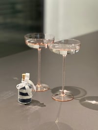 casavetro 24 db 50 ml üveg palack parafa zárral, esküvői ajándék szett 5