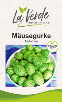 Egéruborka magok - Különleges mini uborka vetőmag 1