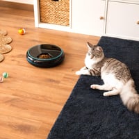 Cecotec Pumba 1600 Purrfect Meal automata kisállat etető – 1,6 l, 4 rekesz, LED kijelző, időzítő és hangfelvevő 2