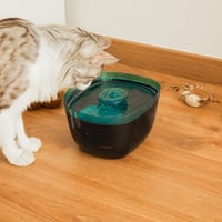 Cecotec Pumba 2200 Refresh automatska fontana za kućne ljubimce, 2 litre, sa filterom, unutarnjim osvjetljenjem, vidljivom razinom vode, tiha pumpa 5