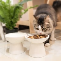CEEFU 2db Kerámia Macska Tál Széles Élelmiszer Vízhez Emelt Magasság Fehér 7