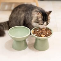 CEEFU Emelt Kerámia Macskatál Szett - 2 Extra Széles Tál Bajuszvédelemmel, Mosogatógépben Mosható, Zöld Színű Etetőtálak Minden Macskafajtán 7