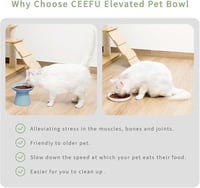 CEEFU Extra Széles Emelt Macska Etetőtálak - Kék Kerámia Dupla Tál Hányásgátló Kialakítással, Bajusz-barát, Mosogatógépben Mosható, 300ml/53 4