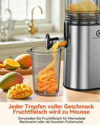 CelerySpec Slow Juicer Tesztgyőztes - 130 mm Adagolónyílás, 1,8L Tartály, Egész Gyümölcsökhöz, BPA-mentes, Rozsdamentes Acél, Fekete 7