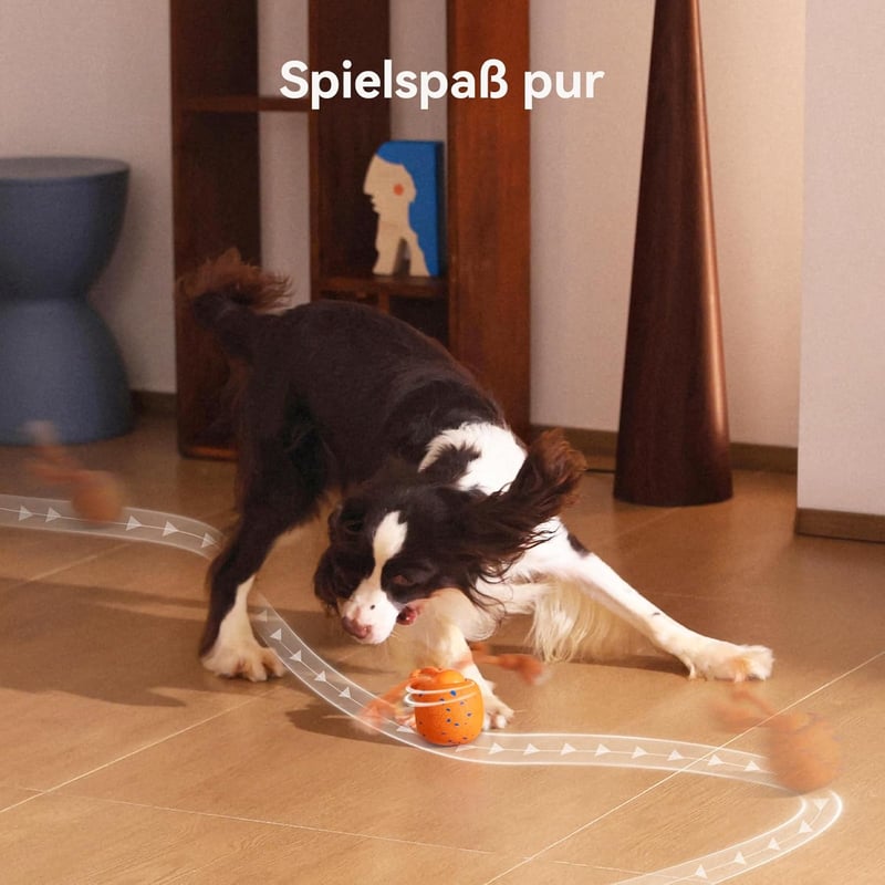 Cheerble Wicked Ball Rolly interaktív kutyajáték USB-C töltéssel