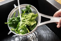 Chef Aid Nylon Szűrő 12 cm Fehér - Zöldség Gyümölcs Mosáshoz és Leszűréshez 4