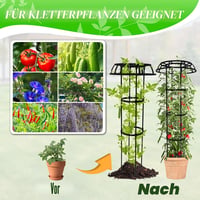 CHEOAR Obelisc de grădină pentru plante cățărătoare, 165 cm, din metal inoxidabil rezistent la intemperii și plastic, pentru trandafiri, clematite și legume, interior/exterior 6
