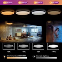 chysongoods 50 cm Csillagos Égbolt Mennyezeti Lámpa 1 db  Bluetooth Hangszóróval - RGB LED Színváltós, Fényerőszabályozható, Google Home Kompatibi 4