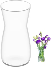 CiciIng 20 cm-es Üveg Váza Virágokhoz, Átlátszó Asztali Dekoráció Tulipánhoz és Szárazvirághoz 1
