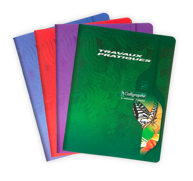 Caiet Clairefontaine Calligraphe 2592C, 17x22 cm, 96 pagini, pătrățele mari 70g și velin 90g, culori asortate
