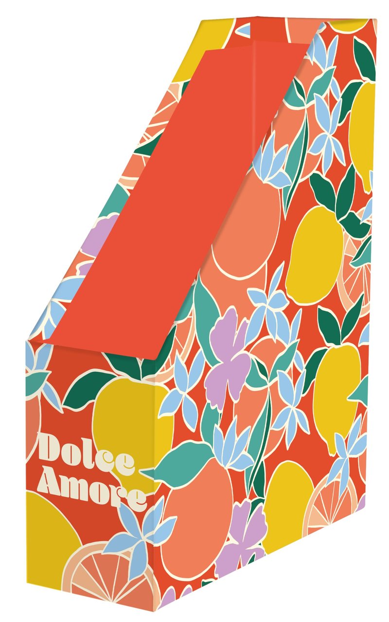 Kartonový zakladač na časopisy Clairefontaine Dolce Amore 116274C s motívom Agrumes pre domácnosť a kanceláriu, 25x10x32,5 cm, 1 ks