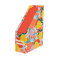 Kartonový zakladač na časopisy Clairefontaine Dolce Amore 116274C s motívom Agrumes pre domácnosť a kanceláriu, 25x10x32,5 cm, 1 ks 2
