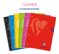 Špirálový zápisník Clairefontaine Mimesys 696803C, A4+ 22,5x29,7 cm, 160 strán, štvorčekovaný, s flexibilnými kartónovými doskami, 4 otvormi na zakladanie, rôzne farby 2