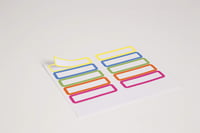 Zošit Clairefontaine Proactiv'Book 328175C A4+, 22,5x29,7 cm, 80 listov, štvorčekovaný s okrajom a hlavičkou, so 4 otvormi do zakladača, PP obal, mix farieb 5