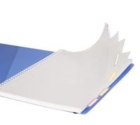 Zošit Clairefontaine Proactiv'Book 328175C A4+, 22,5x29,7 cm, 80 listov, štvorčekovaný s okrajom a hlavičkou, so 4 otvormi do zakladača, PP obal, mix farieb 3