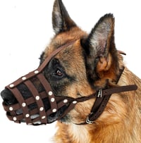 CollarDirect Bőr Kutyaszájkosár Németjuhásznak, Dalmatának, Dobermannnak - Kosár Típusú, Állítható, Légáteresztő, Kényelmes, M-es Méret, Bor 1