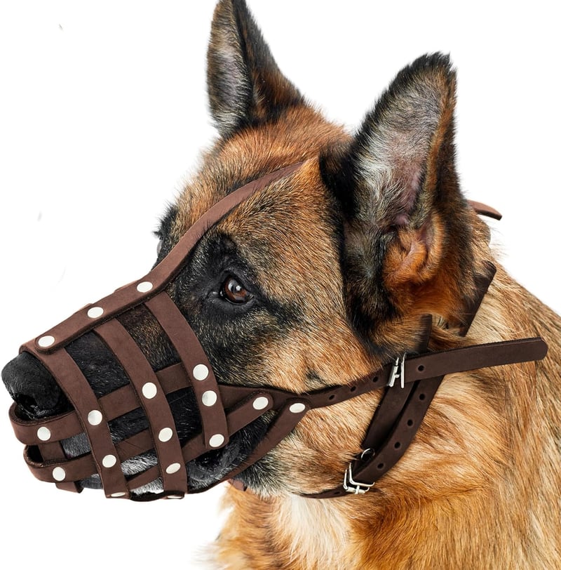 CollarDirect Bőr Kutyaszájkosár Németjuhásznak, Dalmatának, Dobermannnak - Kosár Típusú, Állítható, Légáteresztő, Kényelmes, M-es Méret, Bor