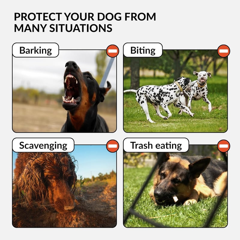 CollarDirect Bőr Kutyaszájkosár Németjuhásznak, Dalmatának, Dobermannnak - Kosár Típusú, Állítható, Légáteresztő, Kényelmes, M-es Méret, Bor