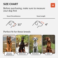 CollarDirect Bőr Kutyaszájkosár Németjuhásznak, Dalmatának, Dobermannnak - Kosár Típusú, Állítható, Légáteresztő, Kényelmes, M-es Méret, Bor 2