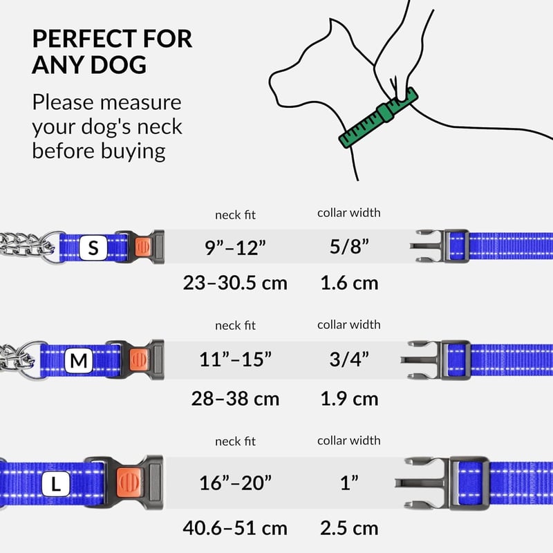 CollarDirect Martingale Kutyanyakörv Rozsdamentes Acél Lánccal Kék Közepes