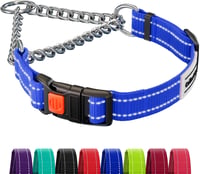 CollarDirect Martingale Kutyanyakörv Rozsdamentes Acél Lánccal Kék Közepes 1