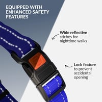 CollarDirect Martingale Kutyanyakörv Rozsdamentes Acél Lánccal Kék Közepes 3