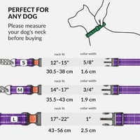 CollarDirect Reflektív Martingale Kutyanyakörv Láncos Edzéshez Lila S 30-37cm 6