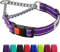 CollarDirect Reflektív Martingale Kutyanyakörv Láncos Edzéshez Lila S 30-37cm 1