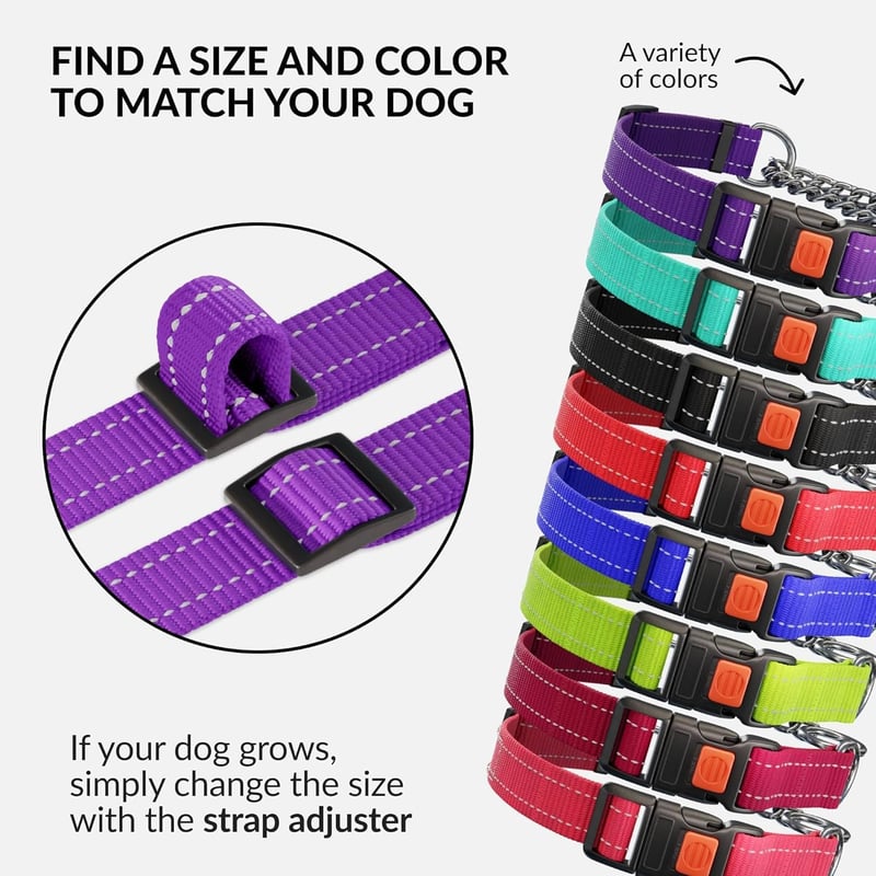 CollarDirect Reflektív Martingale Kutyanyakörv Láncos Edzéshez Lila S 30-37cm