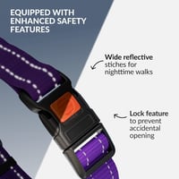 CollarDirect Reflektív Martingale Kutyanyakörv Láncos Edzéshez Lila S 30-37cm 3