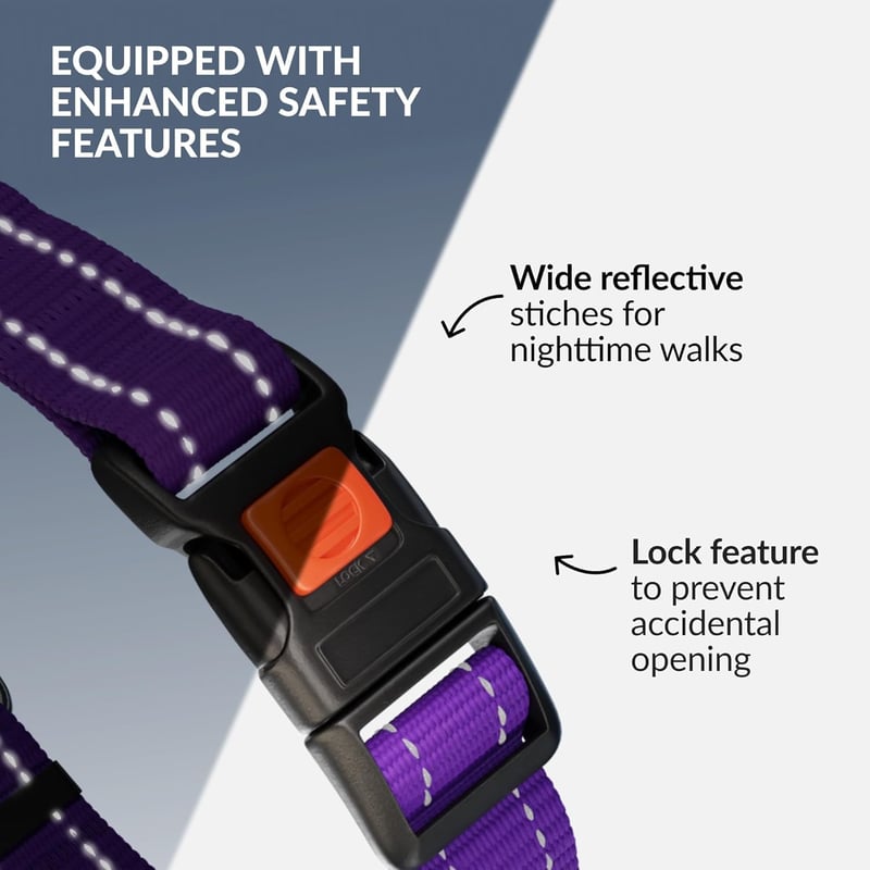CollarDirect Reflektív Martingale Kutyanyakörv Láncos Edzéshez Lila S 30-37cm