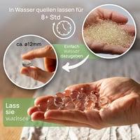 Comforder Átlátszó Vízgyöngy 20000db Növényi Dekoráció Vázához 2