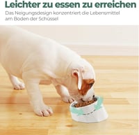 ComSaf 15° Dönthető Tápláló Tál Kutyáknak Macskáknak 120ml Emelt Etetőtál Fehér 4