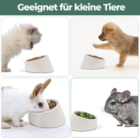 ComSaf 15° Dönthető Tápláló Tál Kutyáknak Macskáknak 120ml Emelt Etetőtál Fehér 6