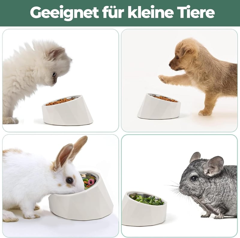 ComSaf 15° Dönthető Tápláló Tál Kutyáknak Macskáknak 120ml Emelt Etetőtál Fehér