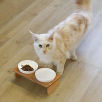 ComSaf 15° Emelt Macskatalyó Bambusz Állvánnyal, 2 Tálcával, Fehér 8