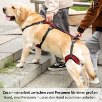 COODEO Kutya Emelő Hám L-es Méret Piros - Mozgássegítő Hátsó Láb Támogatás 5