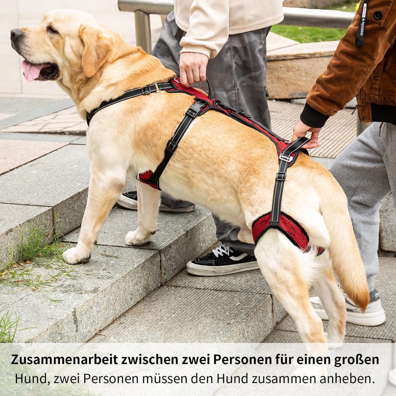 COODEO Kutya Emelő Hám L-es Méret Piros - Mozgássegítő Hátsó Láb Támogatás