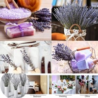 CoolCrafts Szárított Levendula Csokor 100 Szál Dekoráció 5