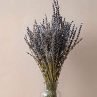 CoolCrafts Szárított Levendula Csokor 100 Szál Dekoráció 2