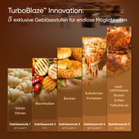 Teplovzdušná fritéza COSORI TurboBlaze XXL 6L, 9 v 1, DC – chybná, čiastočne funkčná: predná časť je prasknutá na dvoch miestach (stav: pozri 2. obrázok) 5