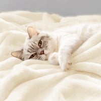 Pătură pufoasă din pluș CozyLux 130x150 cm, cuvertură caldă și moale de culoarea cremei pentru canapea și pat 4