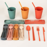 Set de veselă incasabil CSYY pentru 6 persoane, set de camping din 66 de piese, farfurii, boluri și tacâmuri din plastic pentru picnic, set ușor și colorat pentru grătar 4