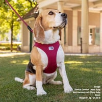 Postroj pre psov Curli Vest Harness Clasp Air-Mesh - svetlo hnedý, veľkosť L - priedušný sieťovinový materiál, ľahký postroj v štýle vesty 6