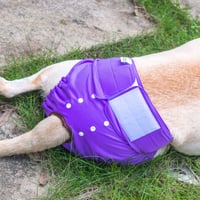 CuteBone perive pelene za kuje, 3 komada, veličina L, plave i ljubičaste, višekratne pelene za kućne ljubimce protiv tjeranja i inkontinencije 8