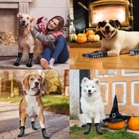 Cutiolly kutyaharisnya csúszásmentes talppal, 4 darab, beltéri-kültéri használatra 6